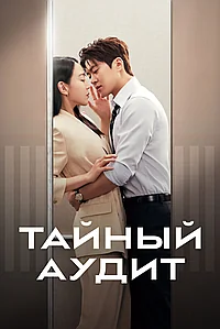 Постер к Тайный аудит